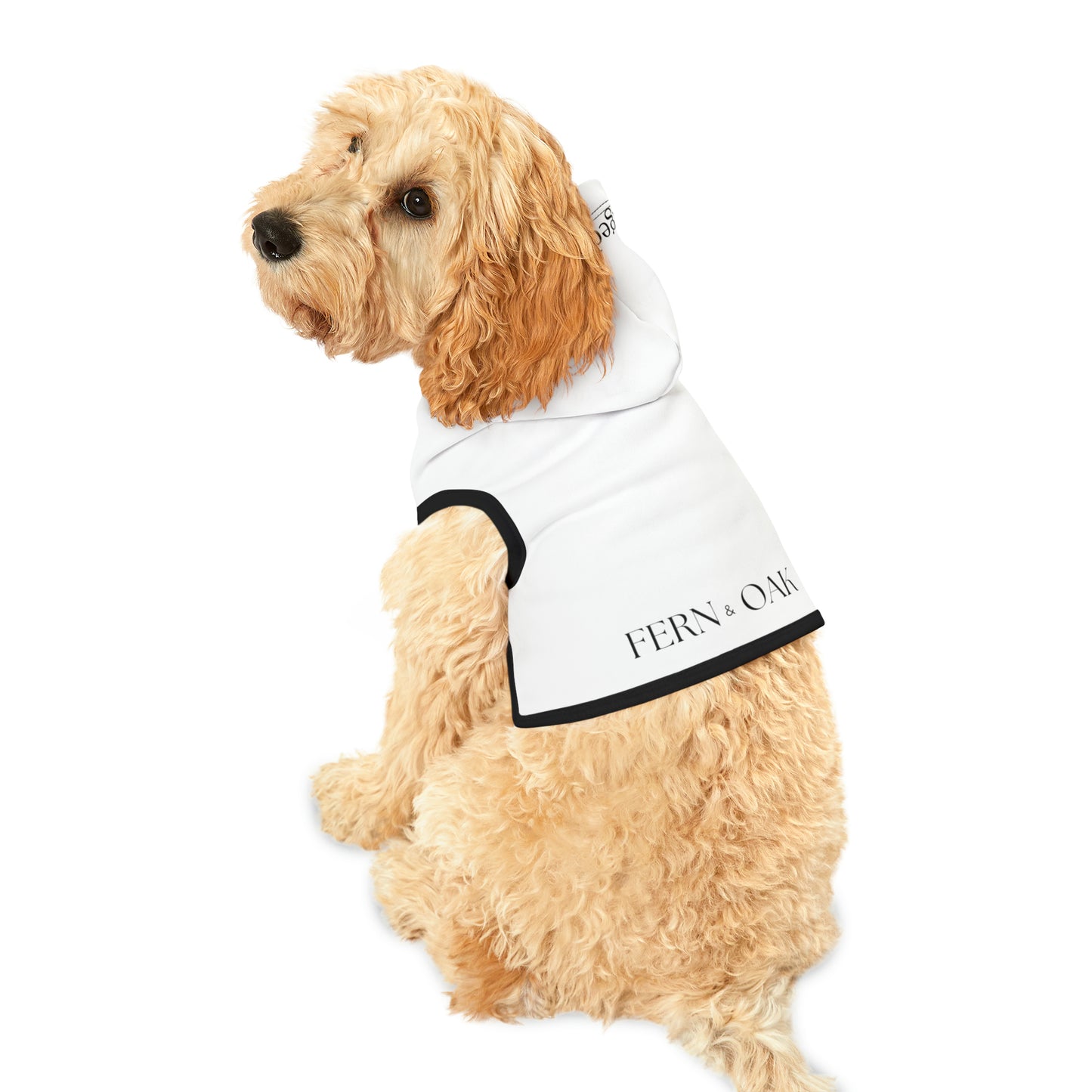 Fern and Oak Unhinged Confidence Pet Hoodie